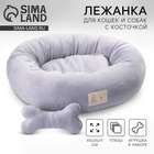 УЦЕНКА Лежанка, 45×35×11 см, серая - Фото 1