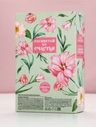 Подарочный набор: гель для душа и бомбочки для ванны, аромат: сладкий парфюм, Чистое Счастье  (артикул 10901114)  большой выбор товаров оптом и в розницу по низким ценам с доставкой