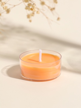 Чайная свеча ароматическая «Круглая» оранж, апельсин, 3.8×3.8×1.8 см  (артикул 10980613)  большой выбор товаров оптом и в розницу по низким ценам с доставкой