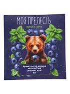 Аромасаше «Моя прелесть» черника, мята, 10 г  (артикул 11001437)  большой выбор товаров оптом и в розницу по низким ценам с доставкой