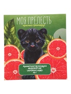 Аромасаше «Моя прелесть» красный грейпфрут, 10 г  (артикул 11001438)  большой выбор товаров оптом и в розницу по низким ценам с доставкой