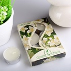 УЦЕНКА Набор чайных свечей ароматических «Жасмин», 3.8×1.6 см, 3.5 ч, 12 г, 6 штук - Фото 1