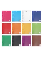 Комплект 12 предметных тетрадей 48 листов, справочная информация, 60 г, пластиковая обложка - Фото 1