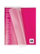 Комплект 12 предметных тетрадей 48 листов, справочная информация, 60 г, пластиковая обложка 10963337 - фото 9215902