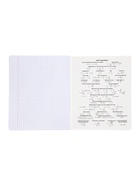 Комплект 12 предметных тетрадей 48 листов, справочная информация, 60 г, Пастель 10963343 - фото 9215962