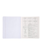 Комплект 12 предметных тетрадей 48 листов, справочная информация, 60 г, Пастель 10963343 - фото 9215968