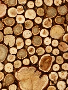 Панно из можжевельника для бани, 100×50 см - фото 809551710