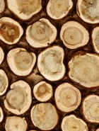 Панно из можжевельника для бани, 50×50 см - Фото 2