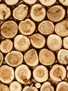 Панно из можжевельника для бани, 60×30 см - Фото 5