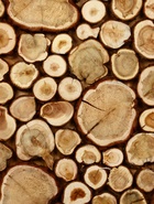 Панно из можжевельника для бани, 80×40 см - фото 809612815