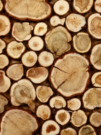 Панно из можжевельника для бани, 80×40 см