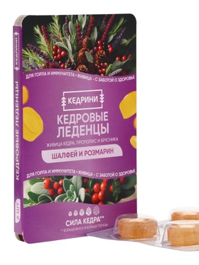 Кедровые леденцы Kedrini, со вкусом шалфея и розмарина, блистер, 6 шт.  (артикул 10998559)  большой выбор товаров оптом и в розницу по низким ценам с доставкой