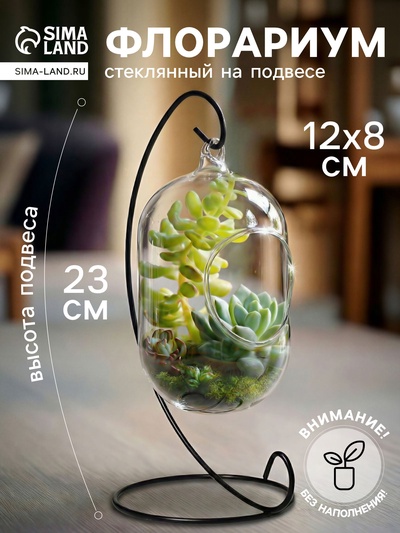УЦЕНКА Флорариум "Цилиндр" 12х8 см на подвесе (23 см)