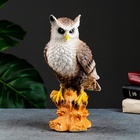 УЦЕНКА Копилка "Филин на ветке" 29х19х12 см - Фото 1