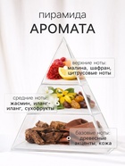 Диффузор ароматический с палочками Hygge Home Тибетская малина и пряности, 50 мл - Фото 2