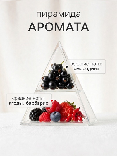 Диффузор ароматический с палочками Ягоды годжи, 30 мл