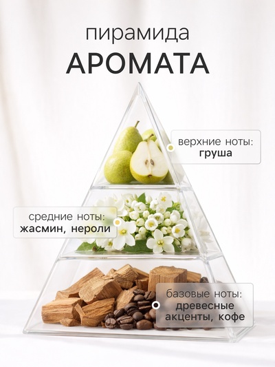 Диффузор ароматический с палочками ХО The Nicety, 200 мл