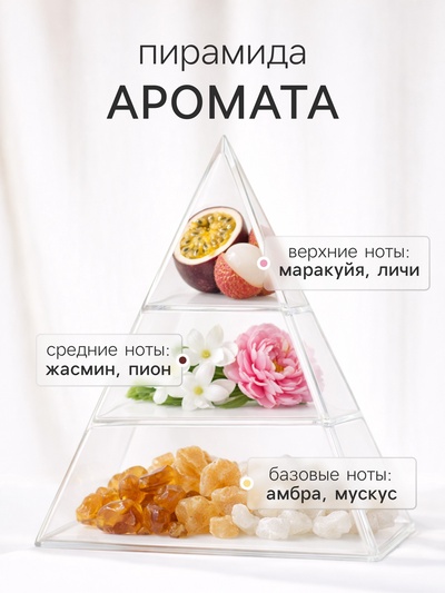 Диффузор ароматический с палочками XO The Cynosure, 200 мл