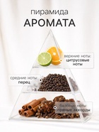 Наполнитель для ароматического диффузора XO The Accent, 100 мл - Фото 2