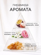 Наполнитель для ароматического диффузора XO The Cynosure, 100 мл - Фото 2