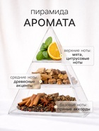 Наполнитель для ароматического диффузора XO The Dream, 100 мл - Фото 2