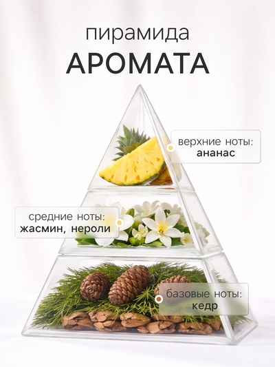 Наполнитель для ароматического диффузора XO The Glow, 100 мл