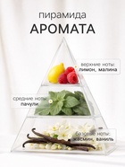 Наполнитель для ароматического диффузора XO The Grace, 100 мл - Фото 2