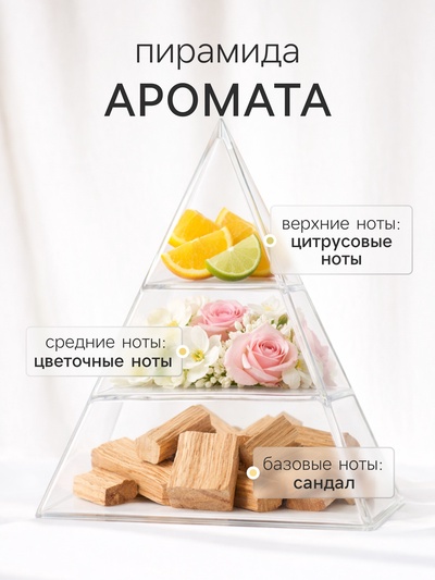 Наполнитель для ароматического диффузора XO The Harmony, 100 мл