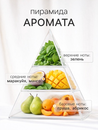 Диффузор ароматический с палочками Holi Sympathy, 50 мл