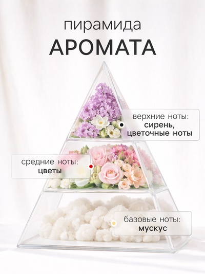 Диффузор ароматический с палочками Holi Enthusiasm, 50 мл