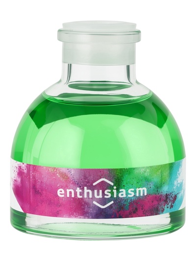 Диффузор ароматический с палочками Holi Enthusiasm, 50 мл