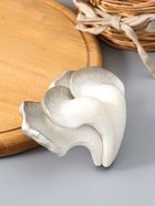 Муляж "Грибы вешенки" 14х10,5 см, бело-серый  (артикул 10970113)  большой выбор товаров оптом и в розницу по низким ценам с доставкой