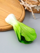 Муляж "Пучок зелени" 17х9,5 см, зелёный  (артикул 10970114)  большой выбор товаров оптом и в розницу по низким ценам с доставкой