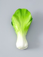 Муляж "Пучок зелени" 17х9,5 см, зелёный  (артикул 10970114)  большой выбор товаров оптом и в розницу по низким ценам с доставкой