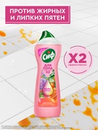 Средство для мытья пола гель-концентрат «СИФ» цветы и грейпфрут, подходит для робота-пылесоса, 750 мл - Фото 2