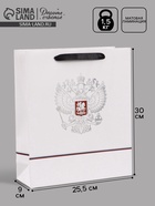 Пакет подарочный «Россия», 25.5×30×9 см  (артикул 10934941)  большой выбор товаров оптом и в розницу по низким ценам с доставкой