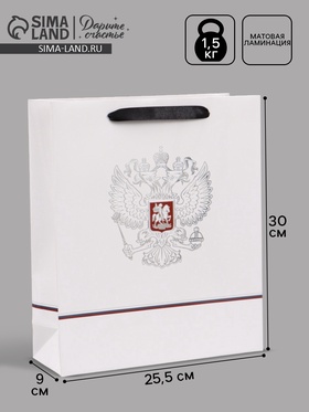 Пакет подарочный «Россия», 25.5×30×9 см  (артикул 10934941)  большой выбор товаров оптом и в розницу по низким ценам с доставкой