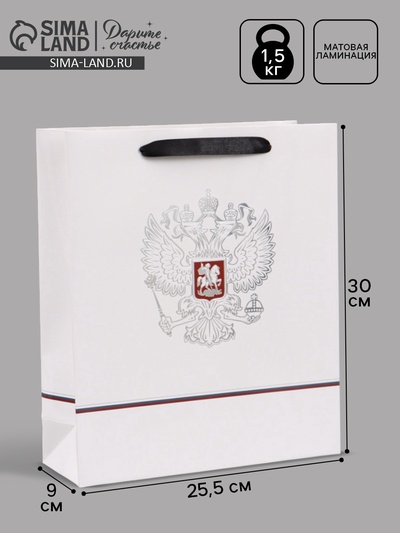 Пакет подарочный «Россия», 25.5×30×9 см