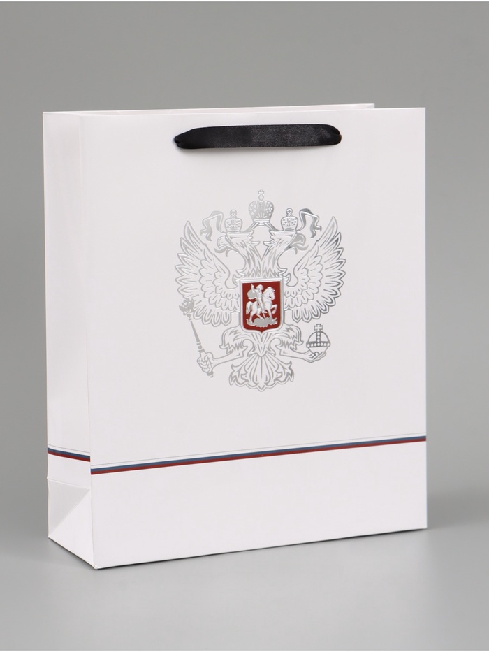 Пакет подарочный «Россия», 25.5×30×9 см