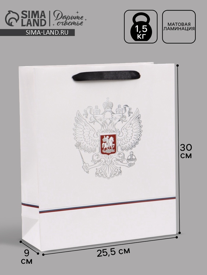 Пакет подарочный «Россия», 25.5×30×9 см - Фото 1