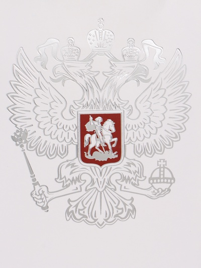 Пакет подарочный «Россия», 25.5×30×9 см
