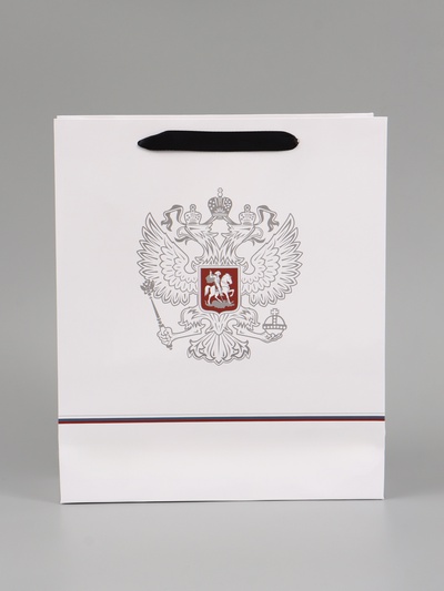 Пакет подарочный «Россия», 25.5×30×9 см