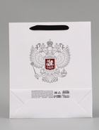 Пакет подарочный «Россия», 25.5×30×9 см - Фото 7
