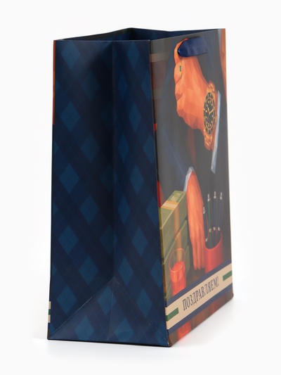 Пакет подарочный «Поздравляем», 23×27×11.5 см