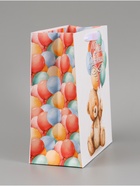 Пакет подарочный «С Днём рождения. Мишка», 23×27×11.5 см  (артикул 10934971)  большой выбор товаров оптом и в розницу по низким ценам с доставкой