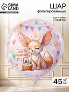 Воздушный шар фольгированный 18" «Пусть всё сбудется. Лиса Фенек»  (артикул 10993687)  большой выбор товаров оптом и в розницу по низким ценам с доставкой