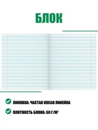 Тетрадь 12 листов «Зелёная обложка», частая косая линия, белизна 90-95% - фото 122246299