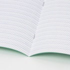 Тетрадь 12 листов «Зелёная обложка», частая косая линия, белизна 90-95% - фото 122246301