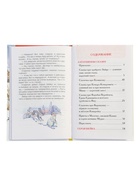 Книга «Серая Шейка. Аленушкины сказки», Мамин-Сибиряк Д. Н., 96 стр. - фото 122246362