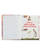 Первая школьная энциклопедия в твёрдом переплёте, 160 стр. - фото 122246377